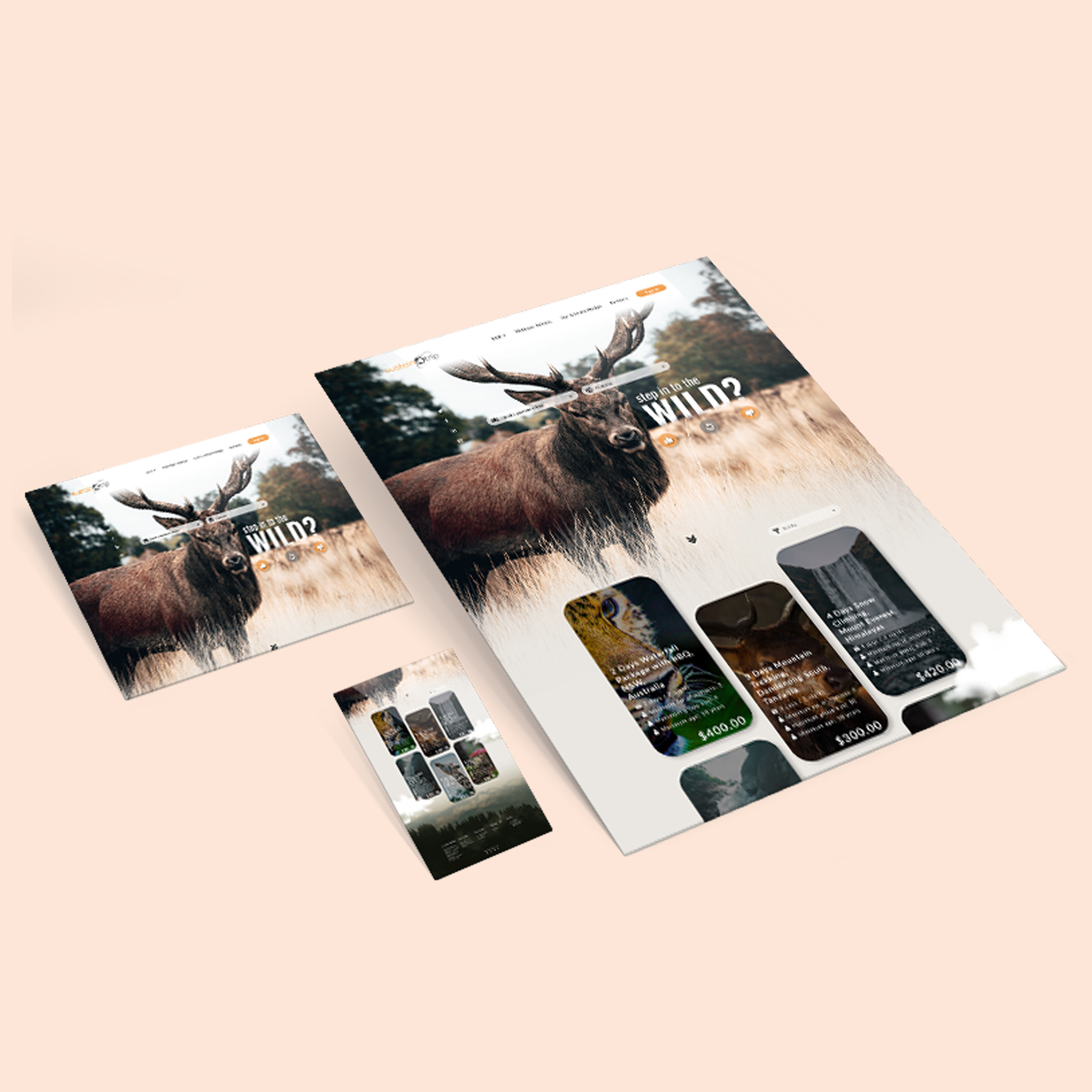 Web Design by Air Spyders for this project | Design #25060223