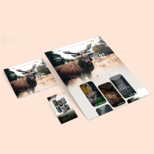 Diseño Web por Air Spyders para este proyecto | Diseño: #25060223