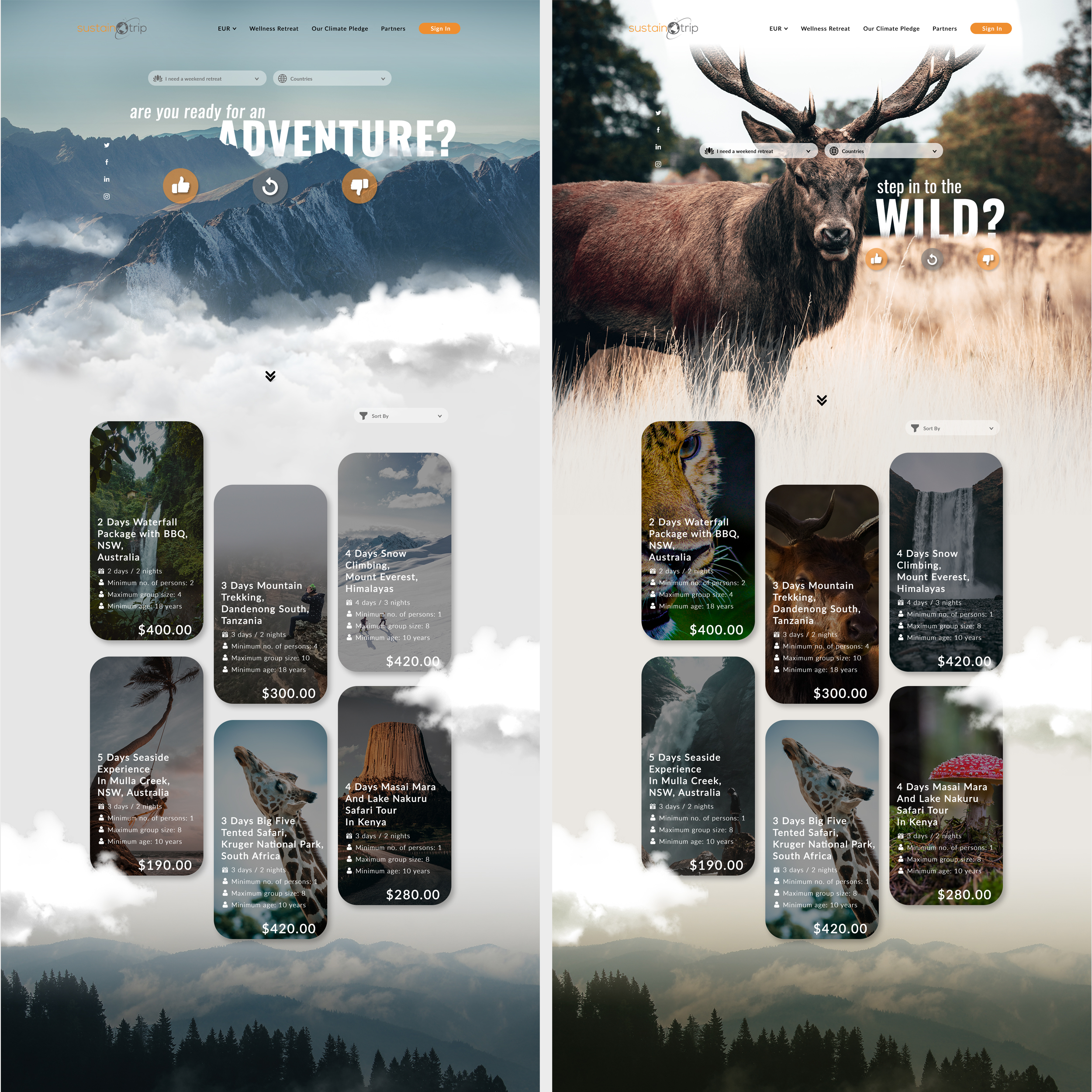 Web Design by Air Spyders for this project | Design #25060226