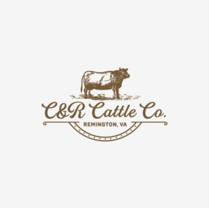 Logo Design by ThiagoB for this project | Design: #25025523