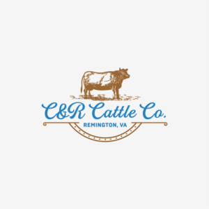Logo-Design von ThiagoB für dieses Projekt | Design: #25032493