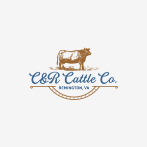 Logo Design by ThiagoB for this project | Design: #25032494