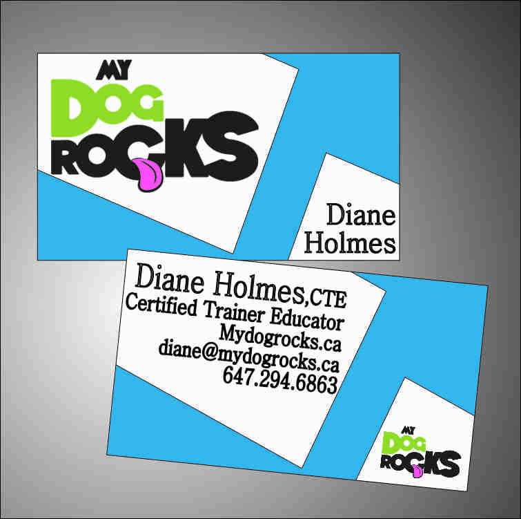 Business Card Design by Anisha for this project | Design #737972