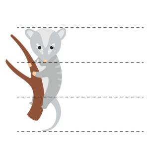 Image of a small Possum, sitting upright on a branch | Art Design by egr__