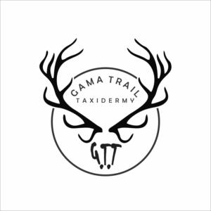 Logo Design by nader Designer