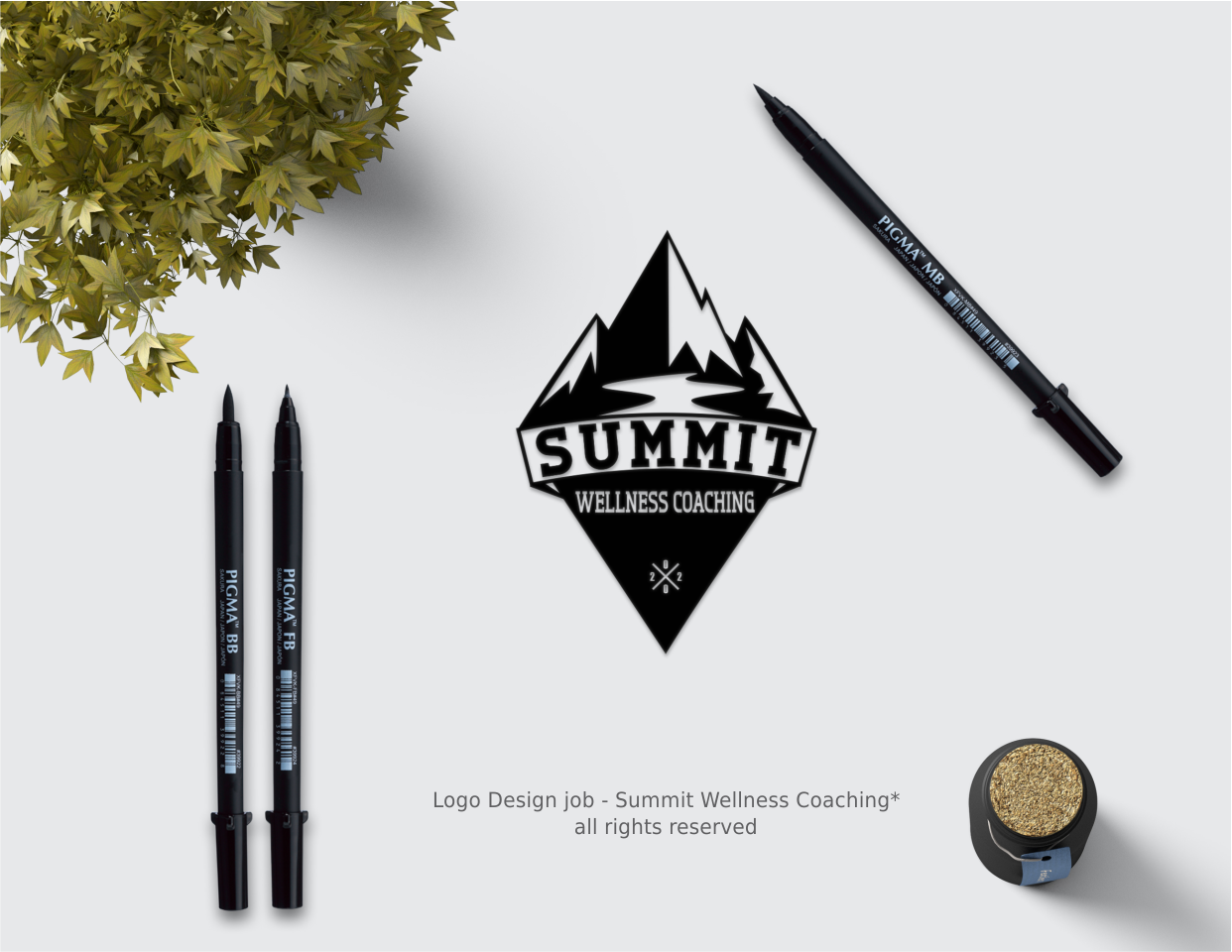 Logo Design by Mimi &amp; Max for Summit Wellness Coaching  | Design #25030623