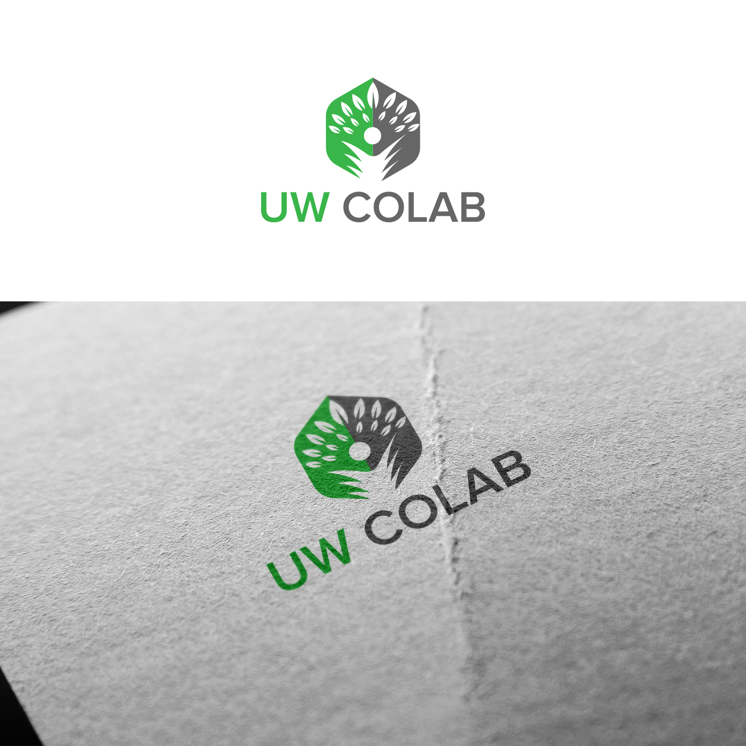 Logo Design by Maxo-Biz for University of Washington | Design #25038878