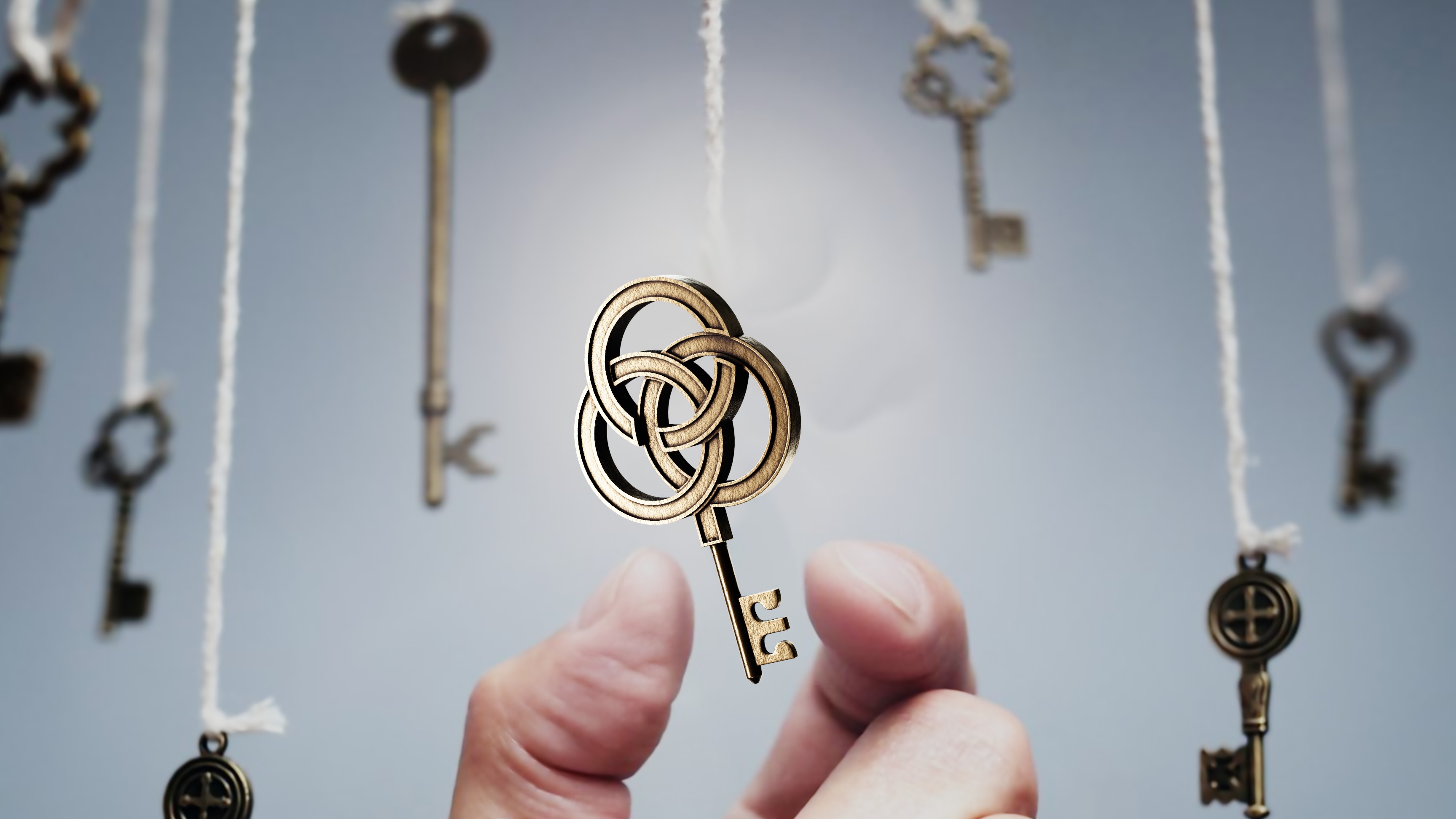 3D Design by Yacine Tutmicy for Charles S Tinsley  | Design #25064053