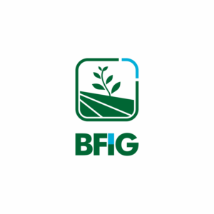 BFIG | Logo Design by veronnie