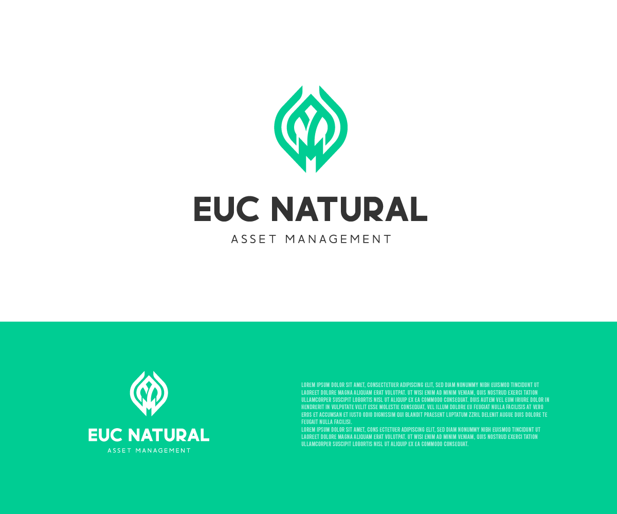 Logo Design by Ng V Duc for this project | Design #25097567