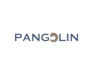 Logo Design by dreams and reality