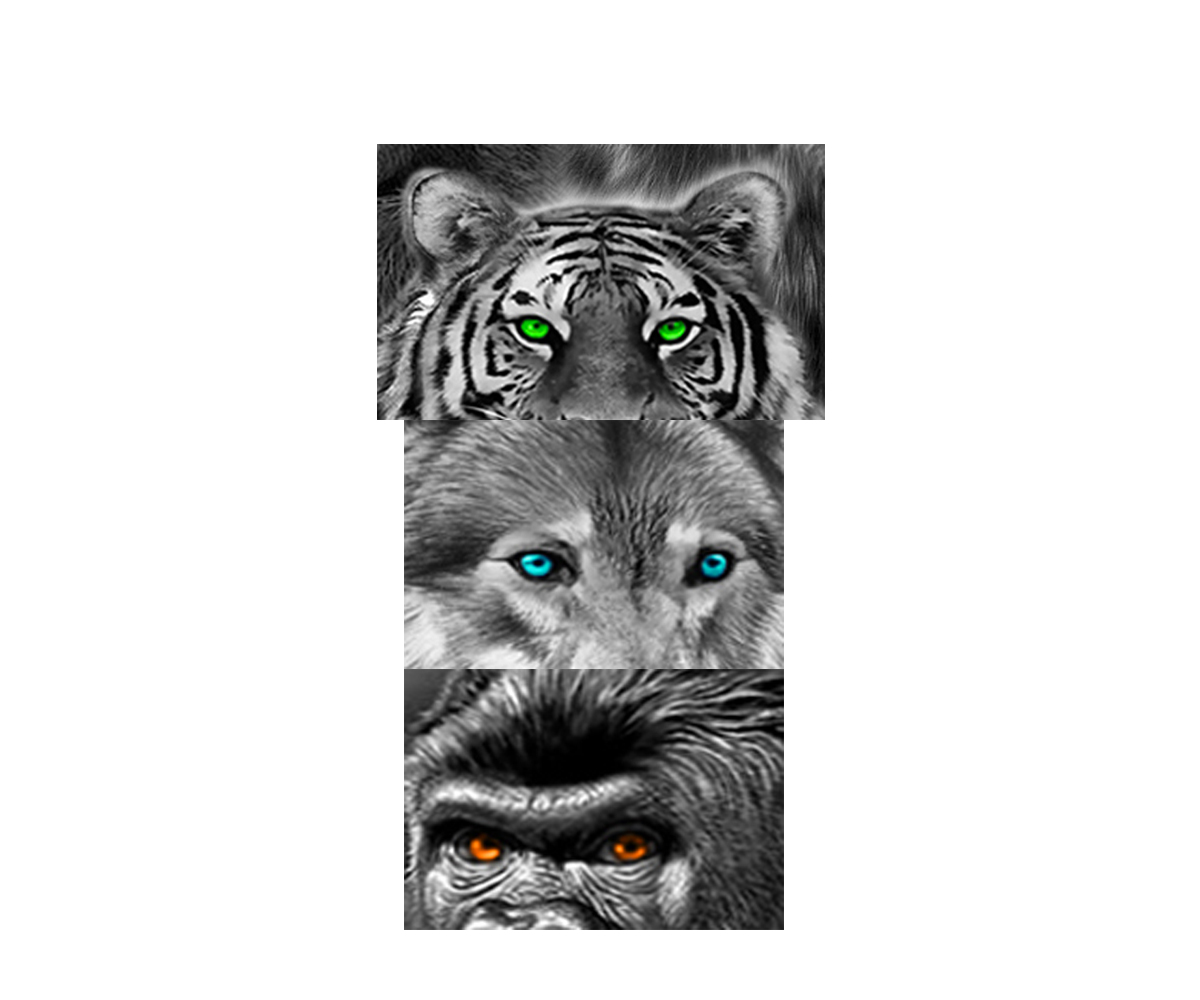 Diseño de Tatuaje por Jezzus para este proyecto | Diseño #25166679