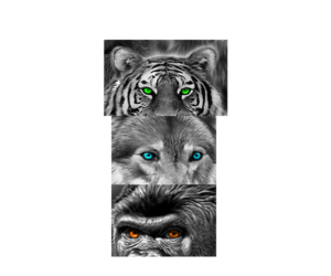 Design de Tatouage par Jezzus pour ce projet | Design : #25166679