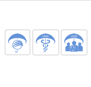 Software Desktop and brochure icon | Diseño Gráfico por fidan_nabiyeva-jw