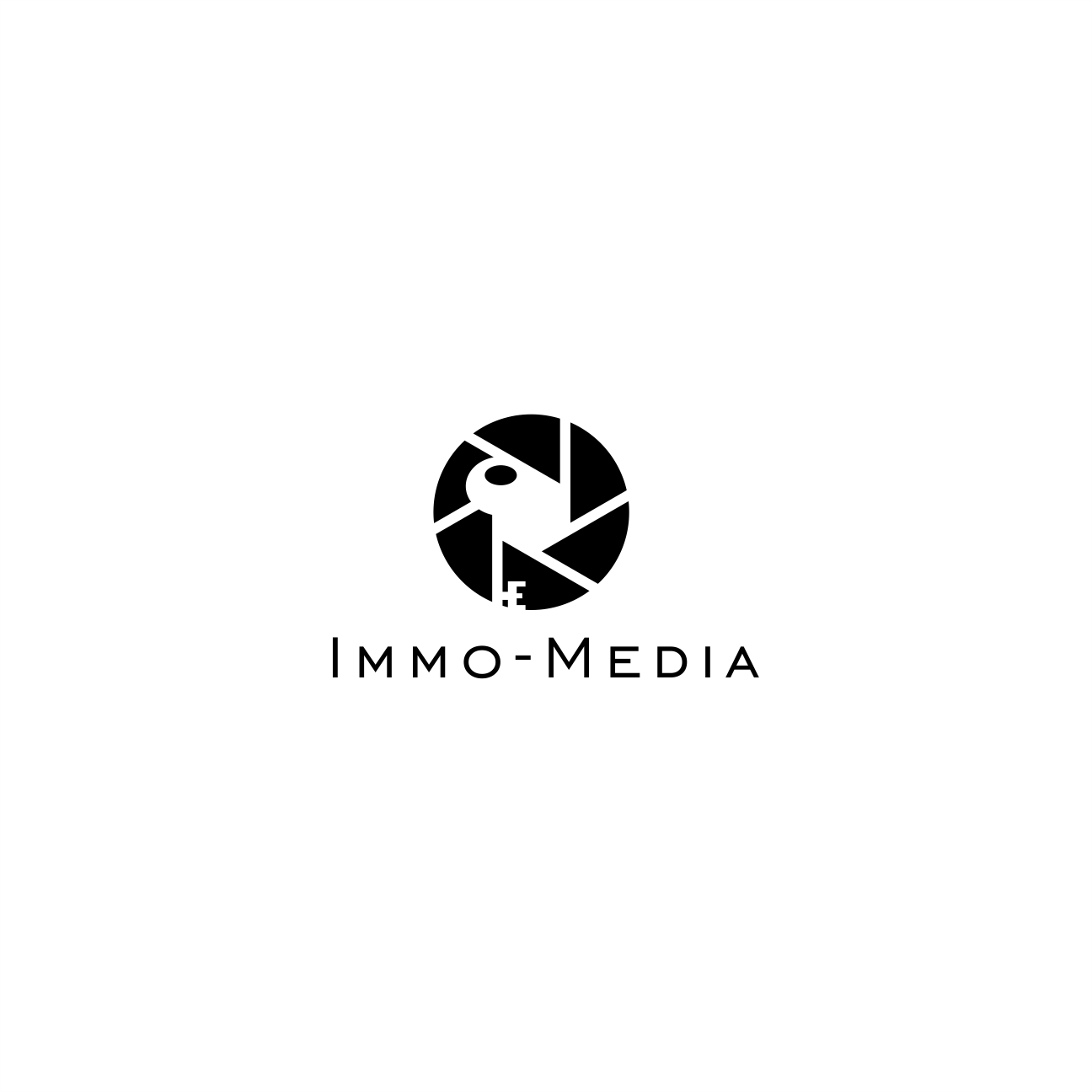 Logo Design by Arham Hidayat for Birdseye.be | Design #25084489
