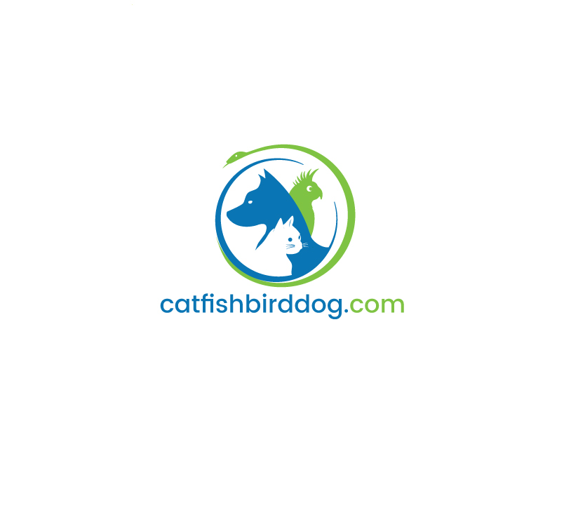 Logo Design by instudio for CT Dots LLC | Design #25074562