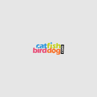 Logo-Design von Maulana 2023 für CT Dots LLC | Design #25109954