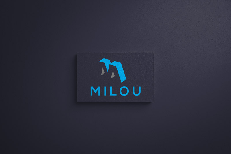 Design de Logo par Sayem pour ce projet | Design #25078250