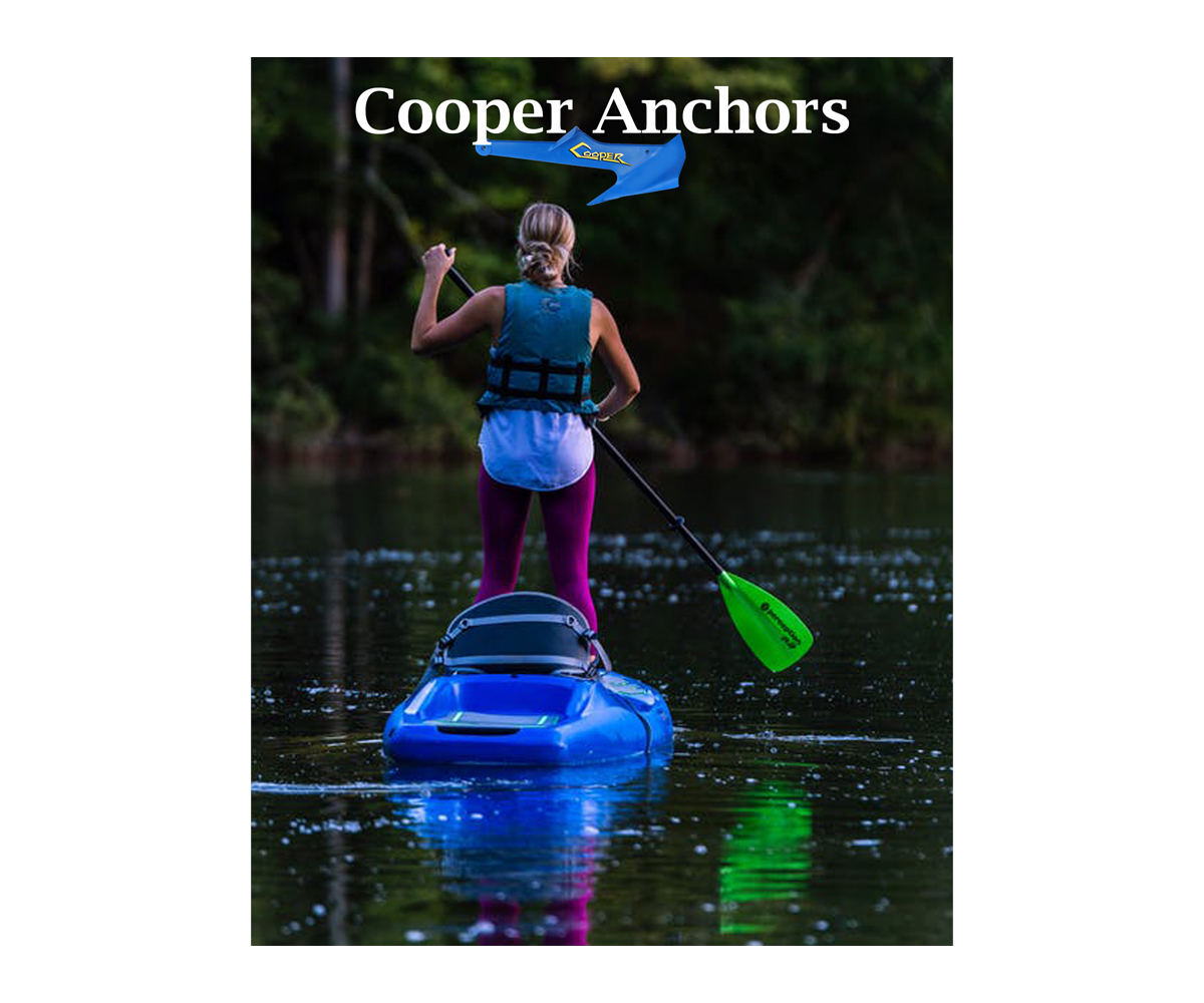 Advertisement Design by edirectoryprogram for this project | Design #25107553