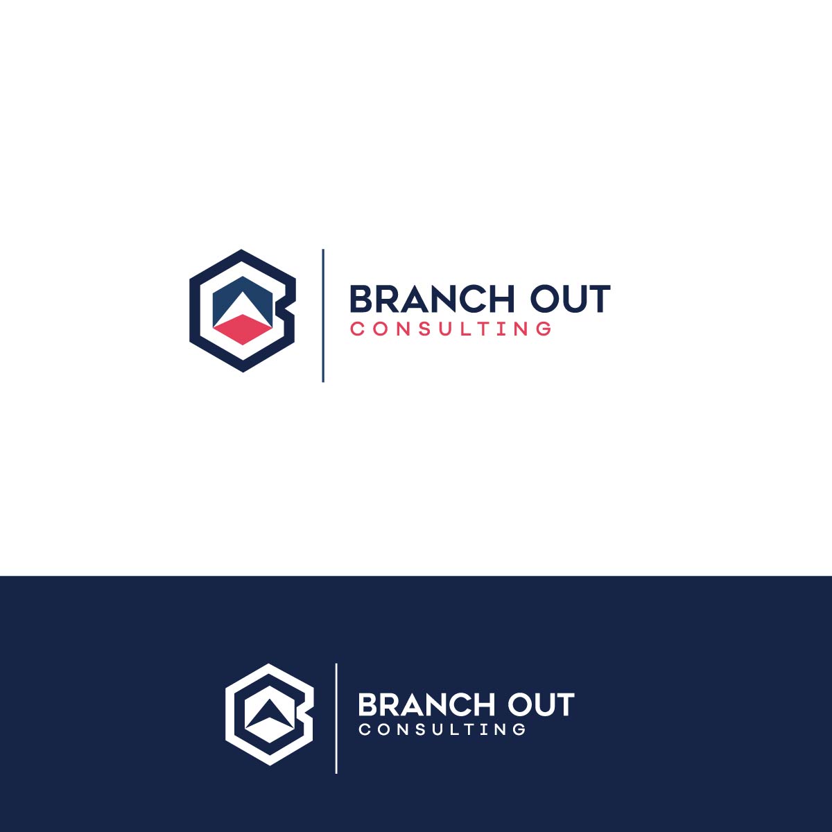 Logo-Design von SS DESIGNS für dieses Projekt | Design: #25092165