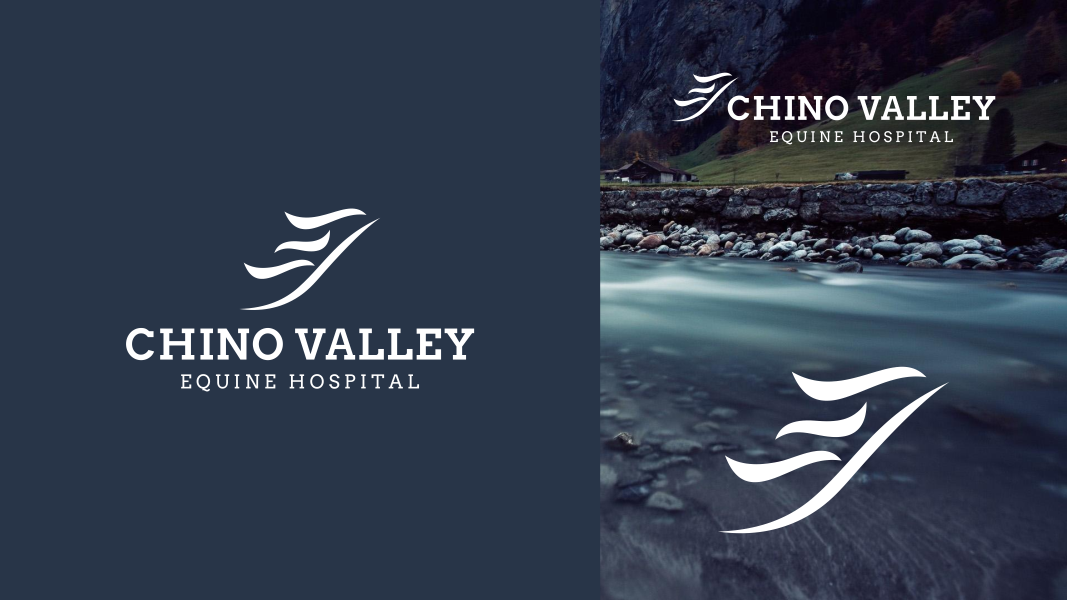 Logo Design by DoMadic for this project | Design #25126833