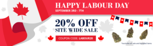 Labour Day banner showcasing 20% off site | Grafik-Design von Hristo Itchov