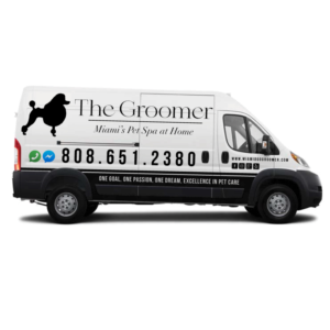 Car Wrap Design by Yoga Tri for The groomer  | Design: #25215161