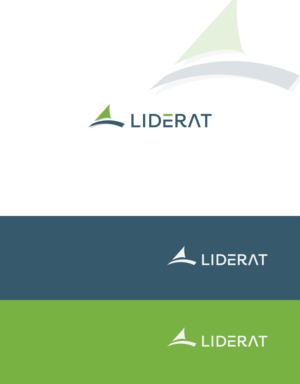 Liderat | Logo Design by bright design