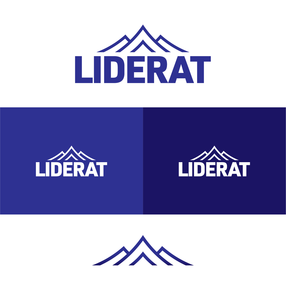 Logo Design by MNB for Liderat Group | Design #25217037