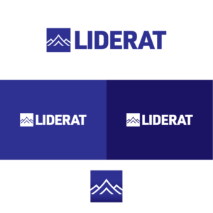Logo Design by MNB for Liderat Group | Design: #25217049