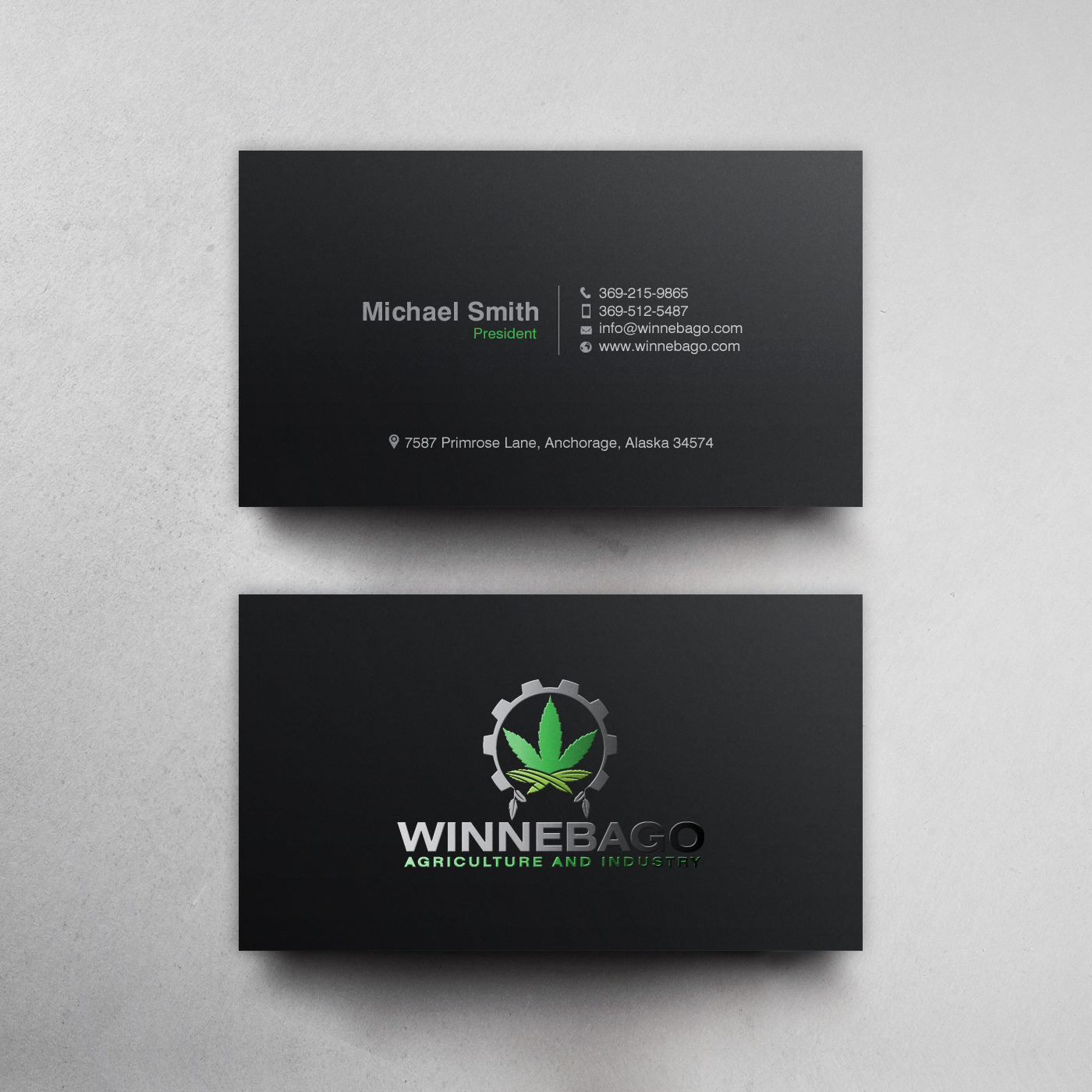 Business Card Design by chandrayaan.creative for this project | Design #25122961