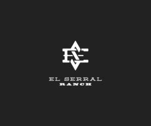 Logo Design by Parallaxe