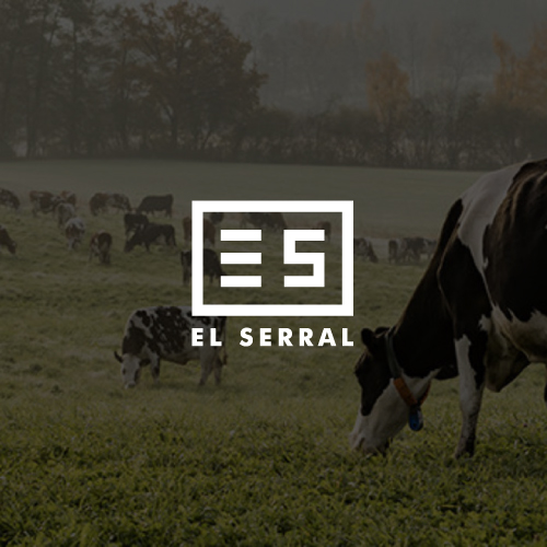 Design de Logo par CC Creative Design pour ce projet | Design #25162500