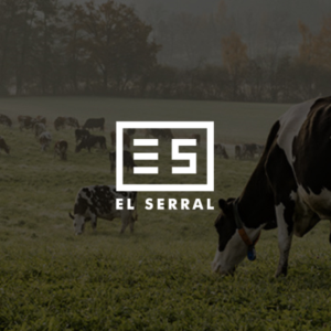 Logo Design by CC Creative Design for this project | Design: #25162500