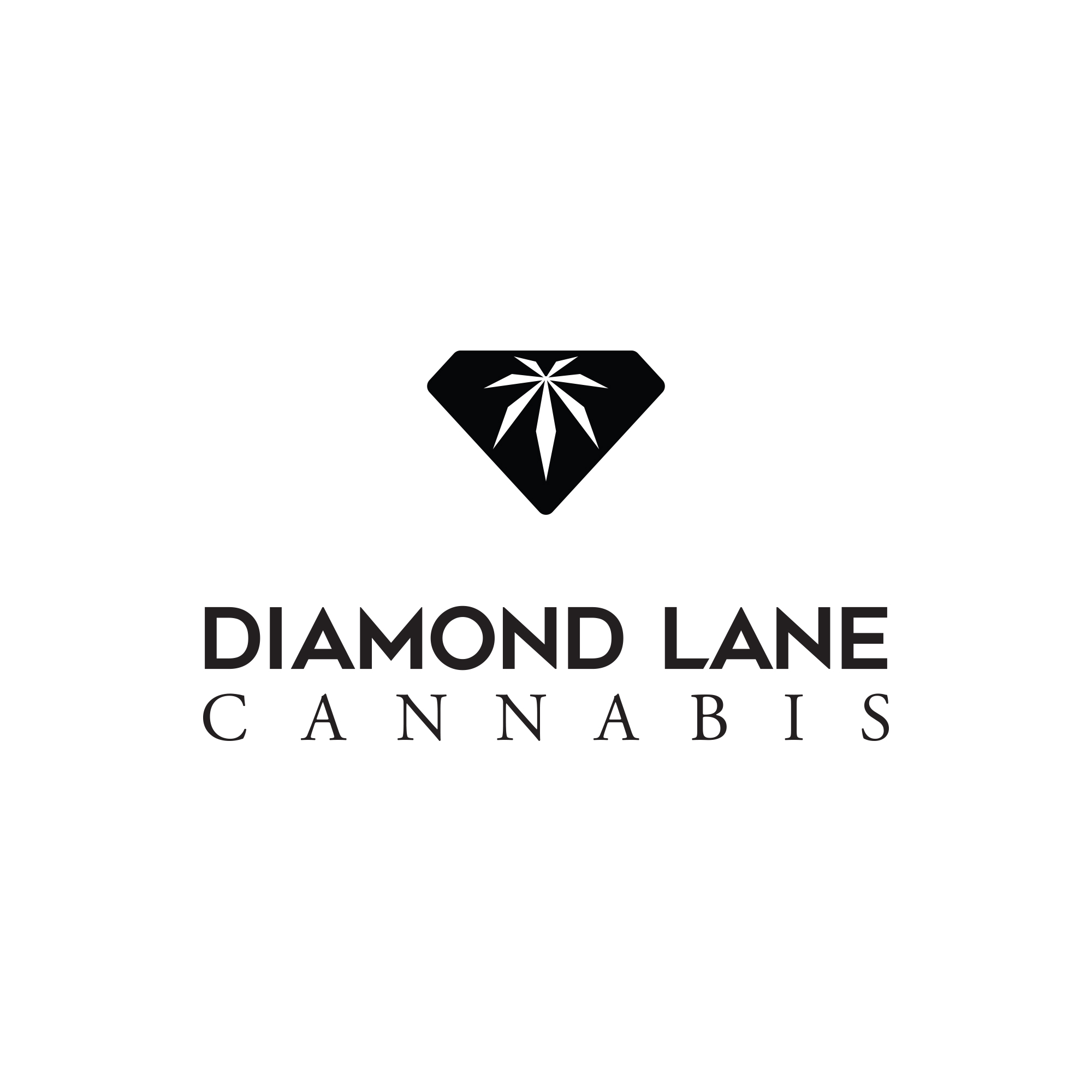 Logo Design by Schaub Design for this project | Design #25153947