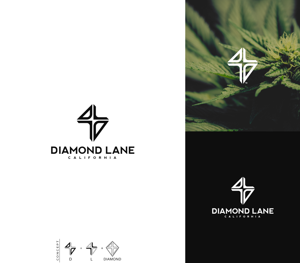 Logo Design by GBDESIGN for this project | Design #25114144