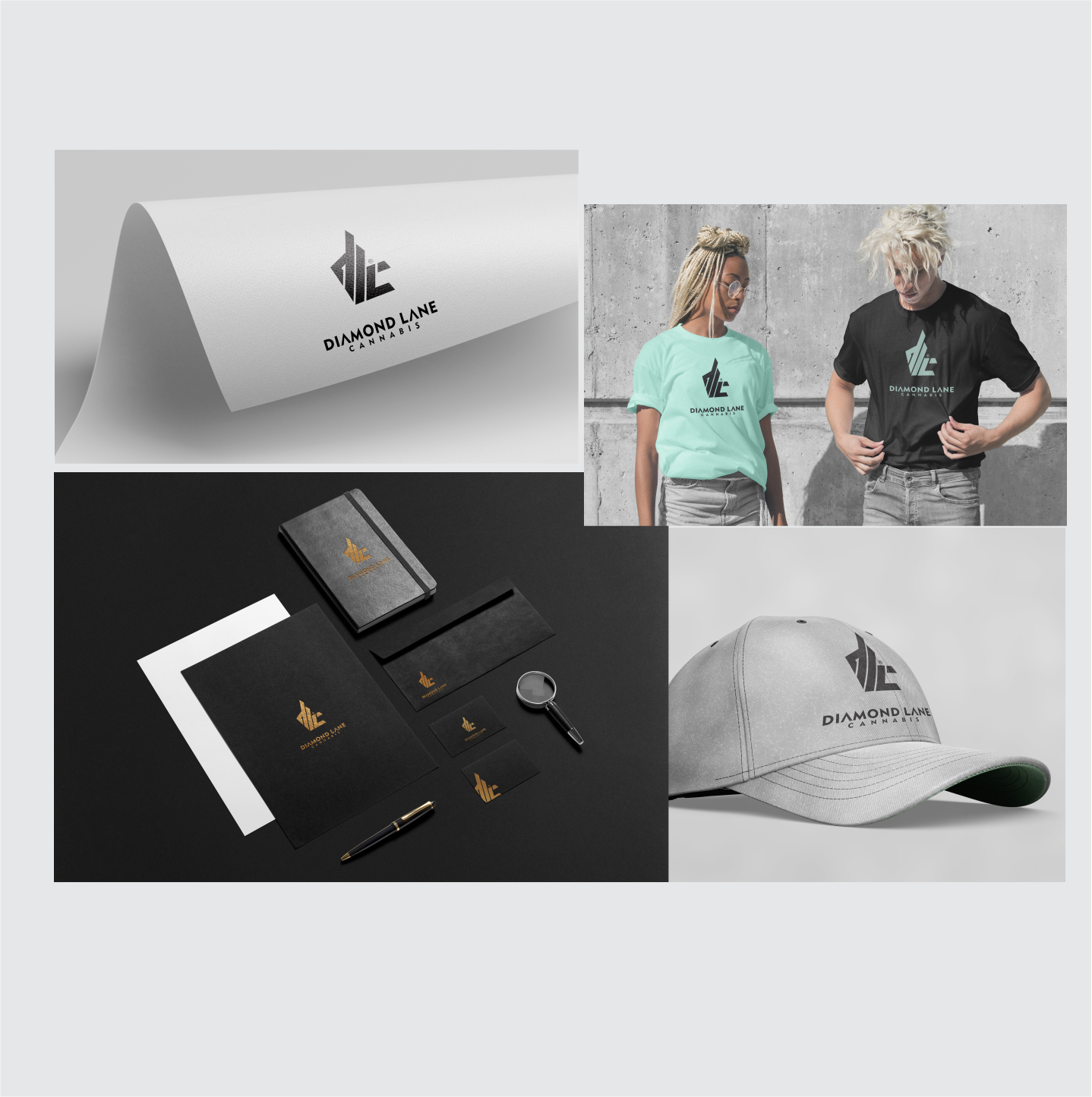 Logo Design by TridentDesigns for this project | Design #25139935