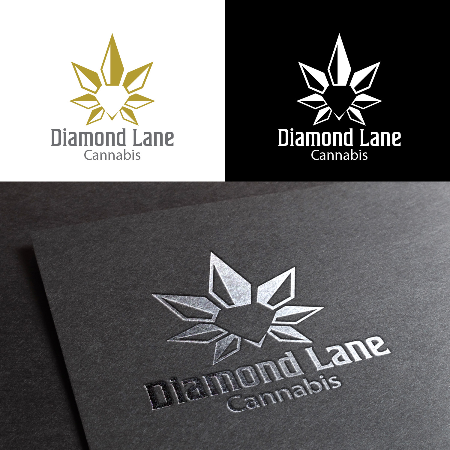 Logo Design by Finley Johnson for this project | Design #25159347