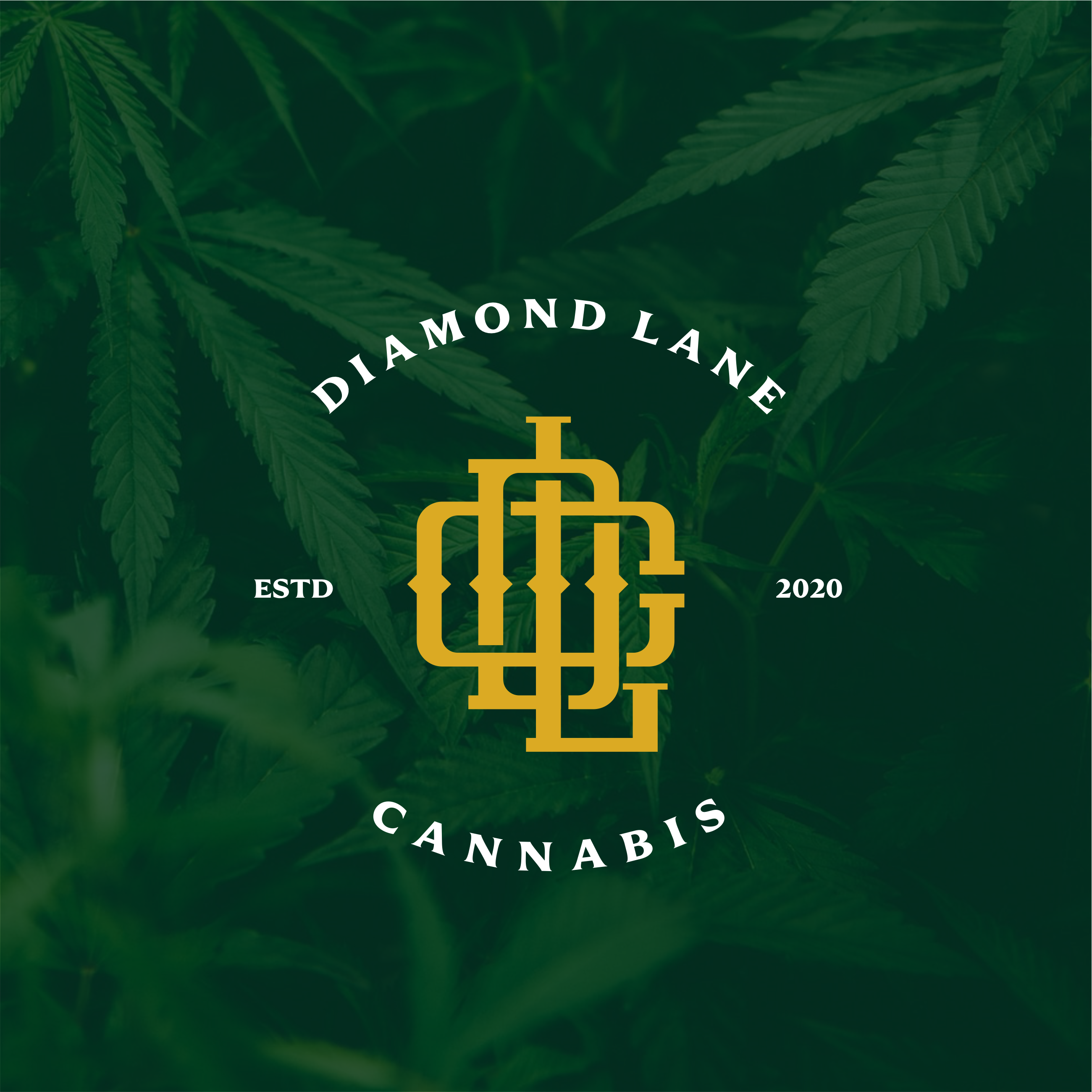 Logo Design by Low_vertical for this project | Design #25114716