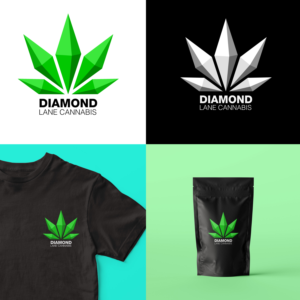 Logo Design by HarshitYT