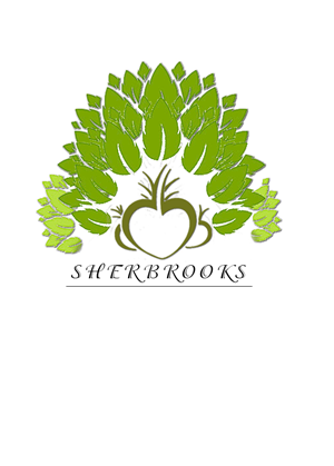 Logo Design by Zohair Shah for this project | Design: #735741