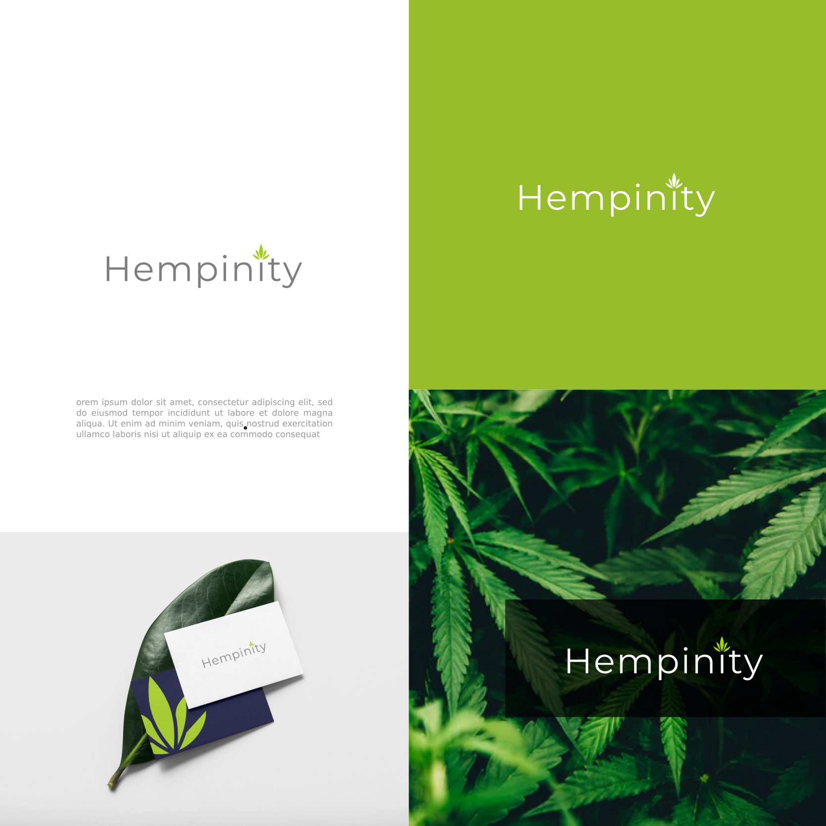 Logo Design by ybmdesign for this project | Design #25575554