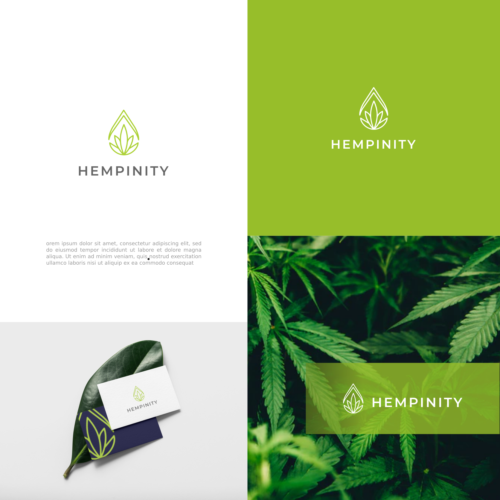 Logo-Design von ybmdesign für dieses Projekt | Design #25575556