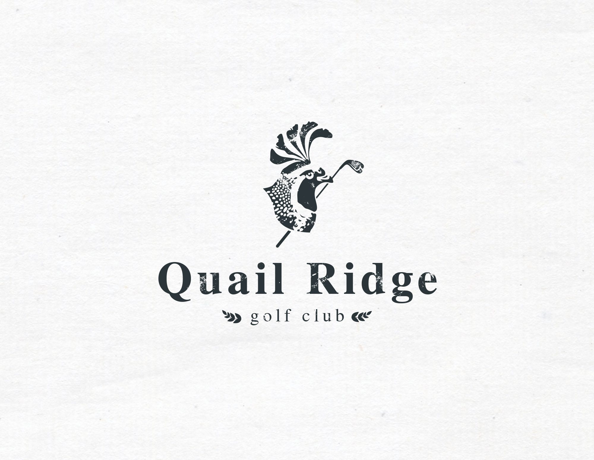 Logo Design by mrs.mary for this project | Design #25171018