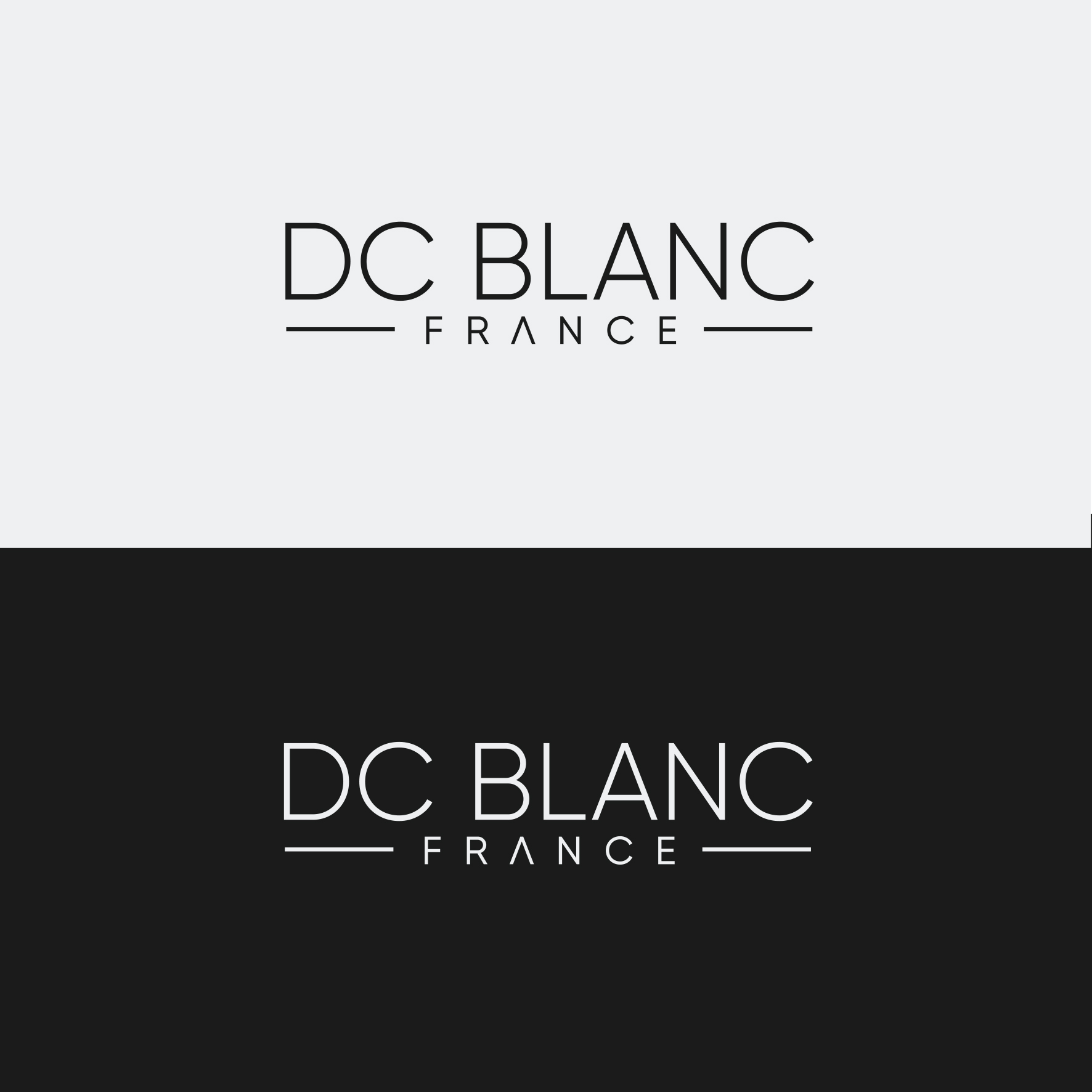 Diseño de Logo por IdentsArt para este proyecto | Diseño #25142496