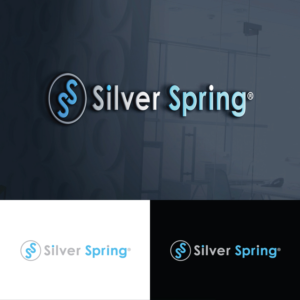 Silver Spring | Design de Logo par Rii