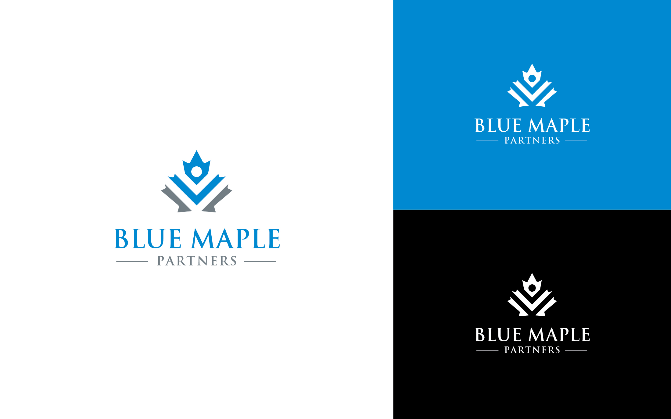 Diseño de Logo por Muhammad Imran 3 para este proyecto | Diseño #25144118