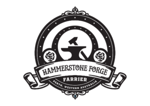 Logo Design by VisualBendr.inc for this project | Design: #25229939