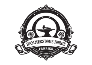 Logo Design by VisualBendr.inc for this project | Design: #25229940