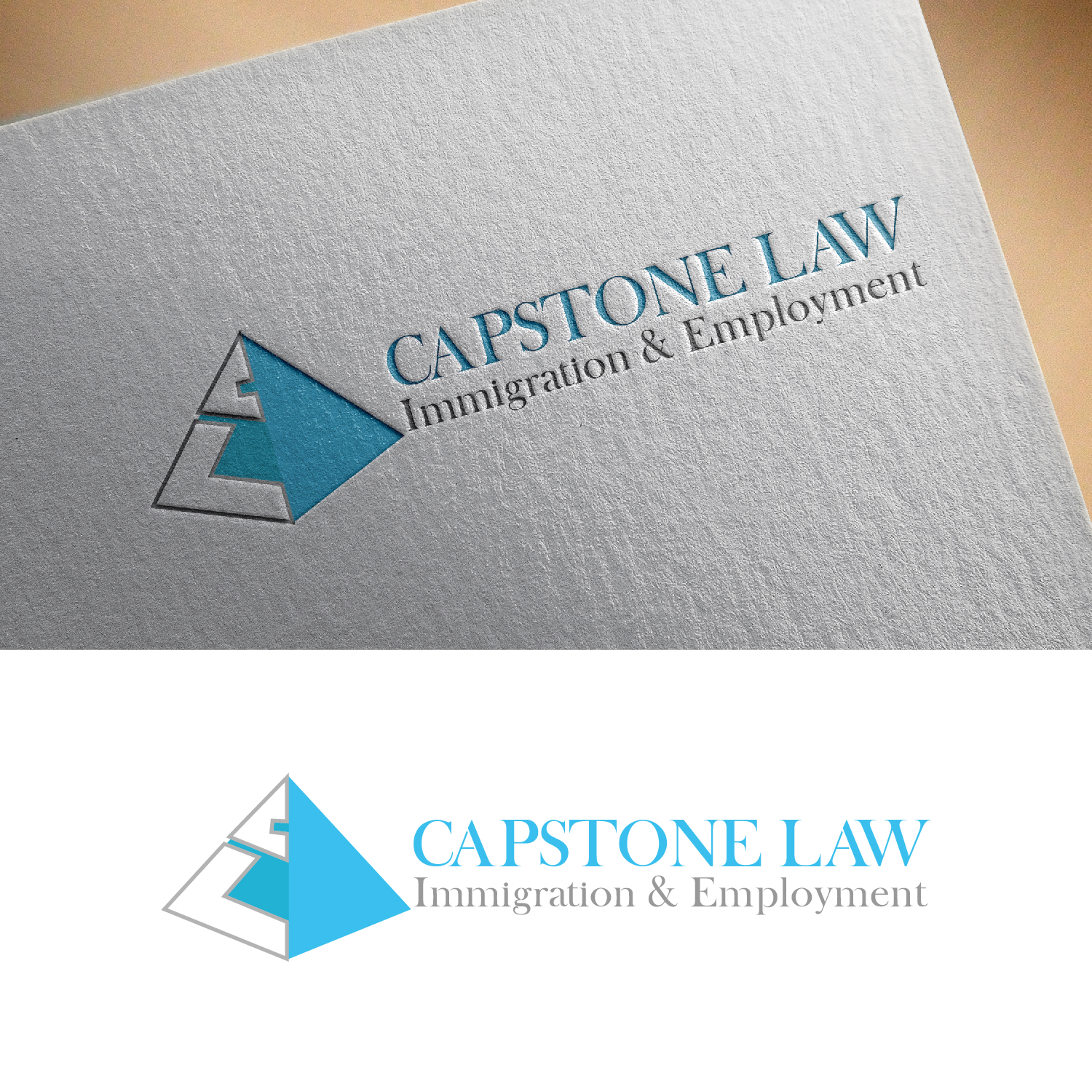 Logo Design by Maxo-Biz for this project | Design #25179611